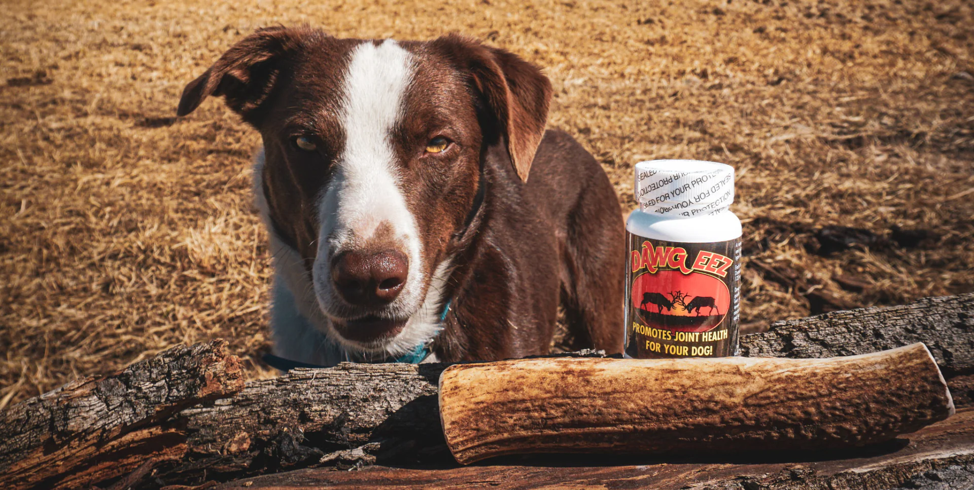 Premium Ranch-Direct Wild Game